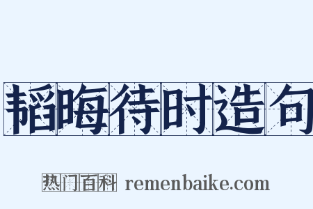 韬晦待时造句是什么意思的图片